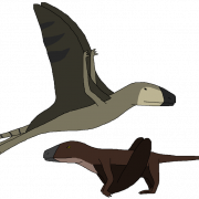 Pterosaurs png bestand downloaden gratis