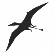 Pterosaurs png gratis download