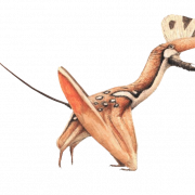Pterosaurs png afbeelding