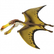 Pterosaurus png afbeelding HD