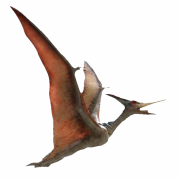 Pterosaurier PNG -Bilder