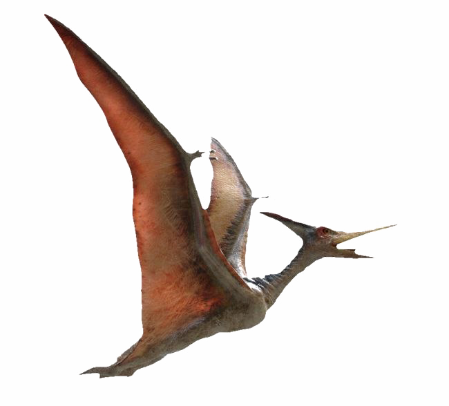 Pterosaurs PNG Picture - PNG All