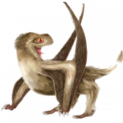 Pterosaurs png pic