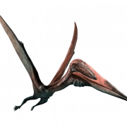 Pterosaurier PNG Bild