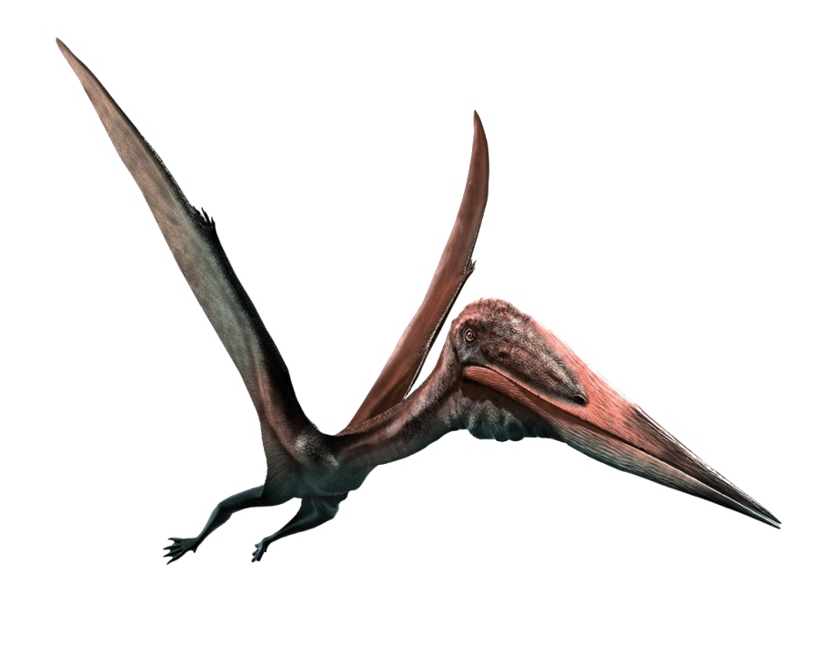 Pterosaurs png images
