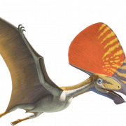 Pterosaurier transparent