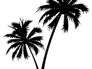 coconut trees, tropical foliage, silhouette design, nature illustration, Beach Coconut Tree PNG