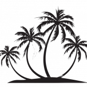 Silhouette Coconut Tree PNG -afbeelding