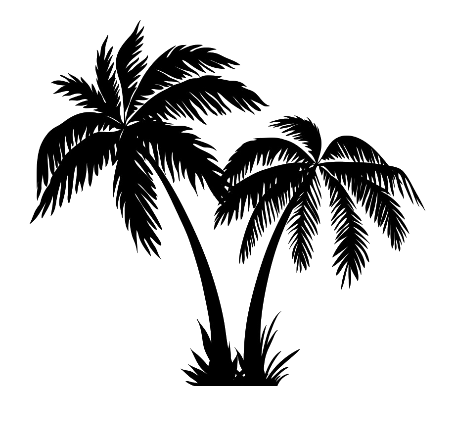 Silhouette Coconut Tree Transparent | PNG All