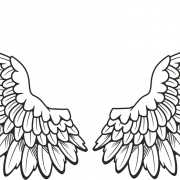 Wings Angel Transparent | PNG All