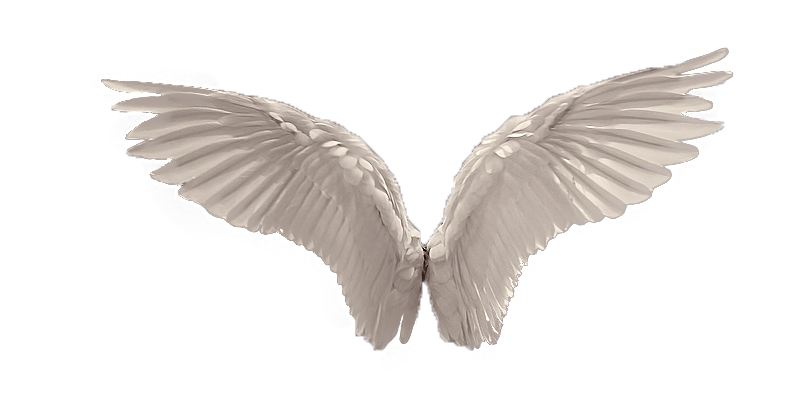 realistic wings png