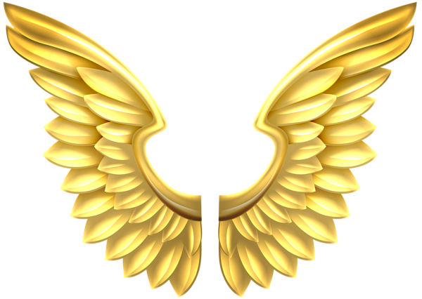 Wings Angel Transparent Png All Png All