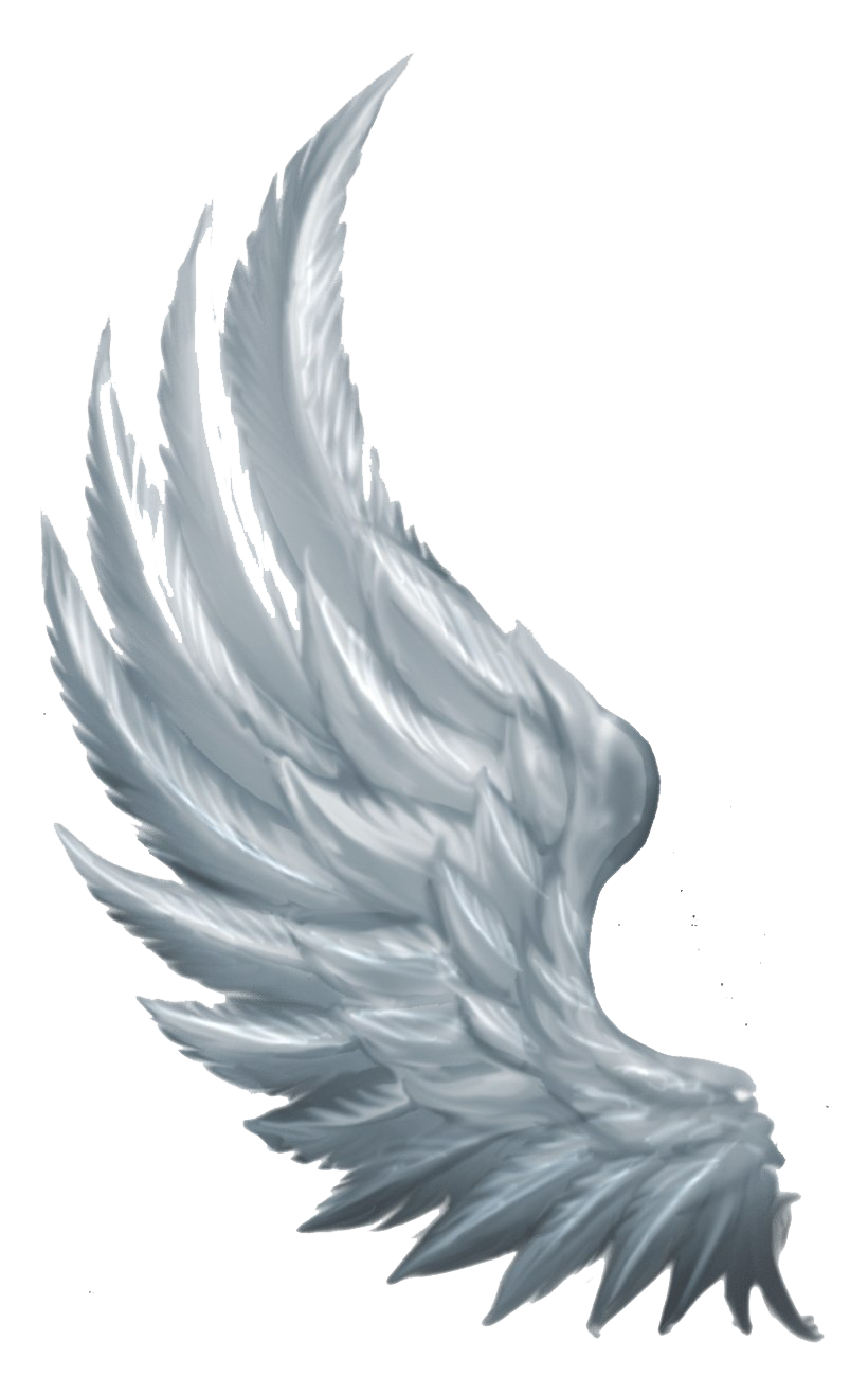 Wings Angel Png All Png All