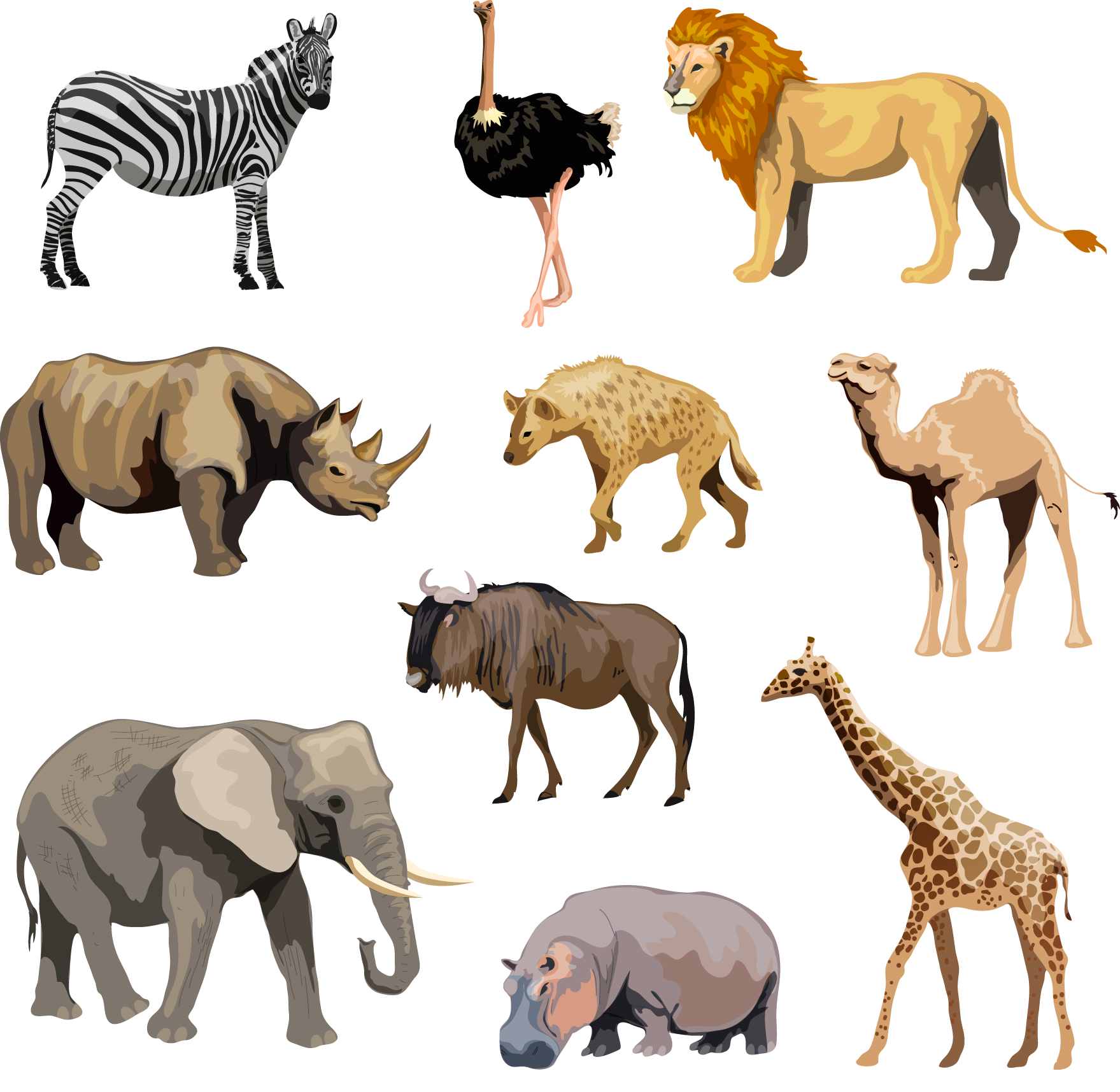 Afrika PNG Clipart