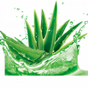 Aloe vera jel png ücretsiz görüntü