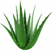 Aloe vera jel png şeffaf hd fotoğraf