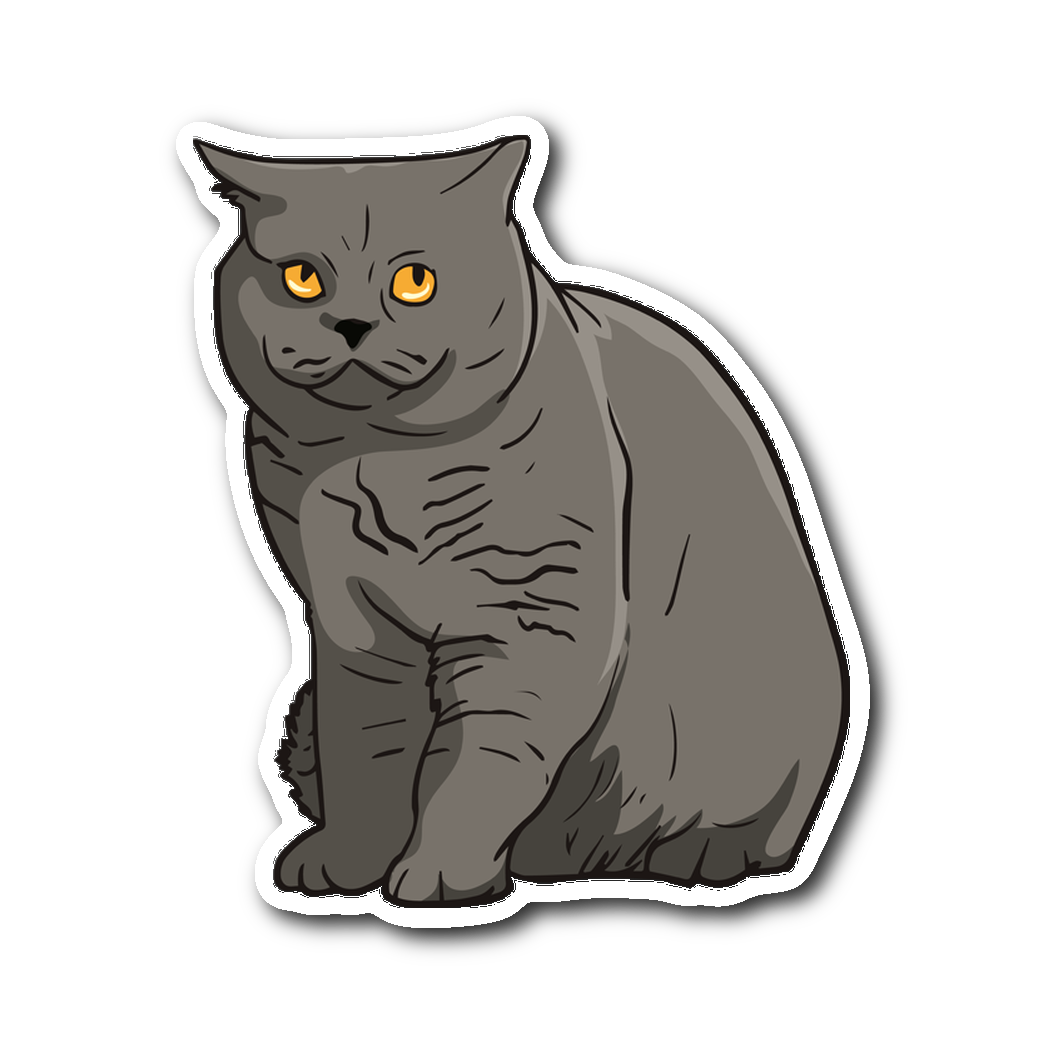 British Shorthair Cat Png Transparent Images Png All