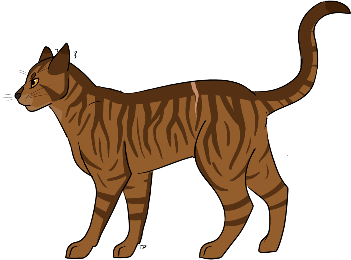 Cat de abisinio marrón PNG