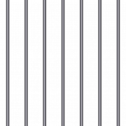 PNG de prisión celular