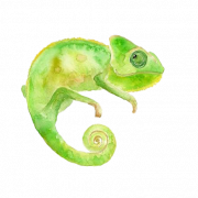 Chameleon PNG Foto de HD transparente
