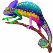 Colorido camaleón transparente