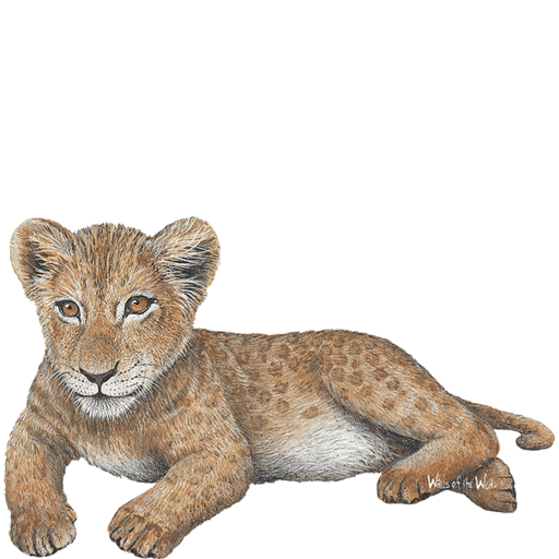 Cute Lion Cub PNG File