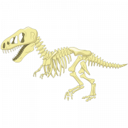 Dinozor kemikleri fosiller png dosya indir ücretsiz