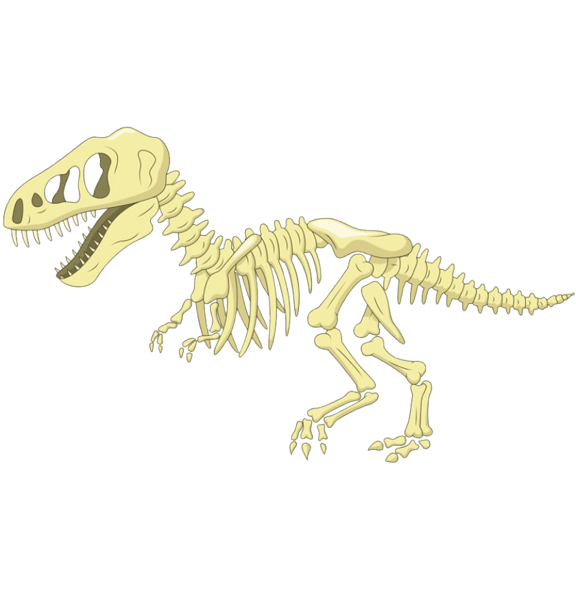 Dinozor kemikleri fosiller png dosya indir ücretsiz