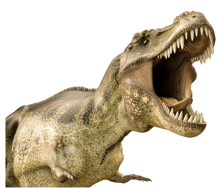 Dinozor kemikleri fosil png dosyası