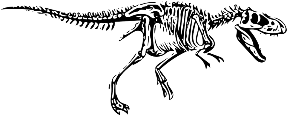 Dinozor kemikleri fosiller png ücretsiz görüntü