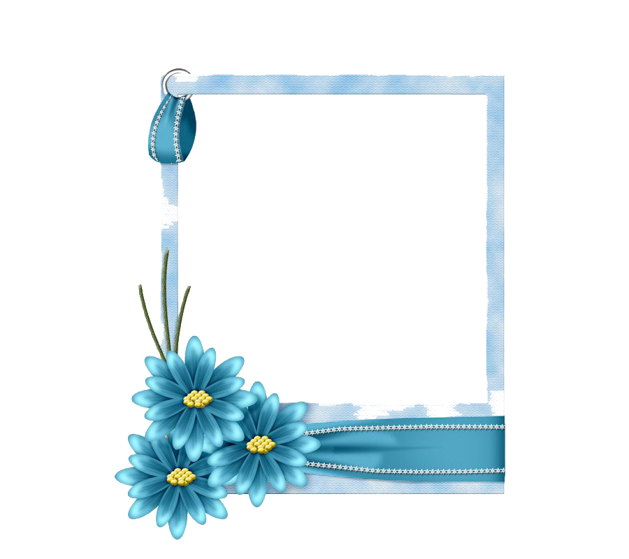 blue frames