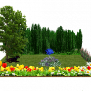 Цветочный сад PNG Бесплатное изображение
