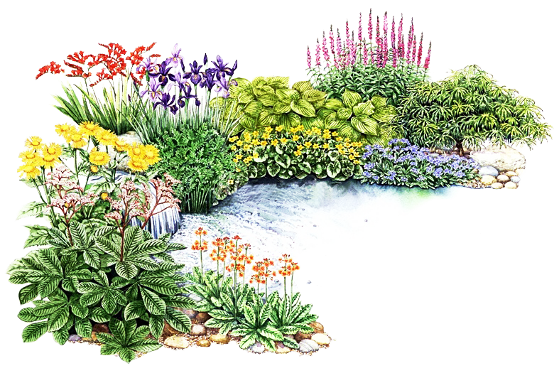 Цветочный сад PNG Высококачественное изображение