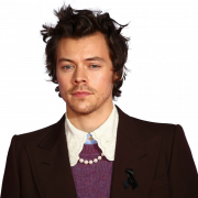 Harry Styles PNG Image de haute qualité