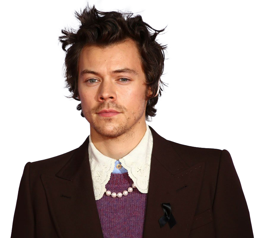 Harry Styles PNG Imagen de alta calidad