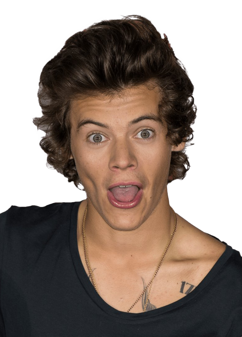 Harry Styles Png Pic