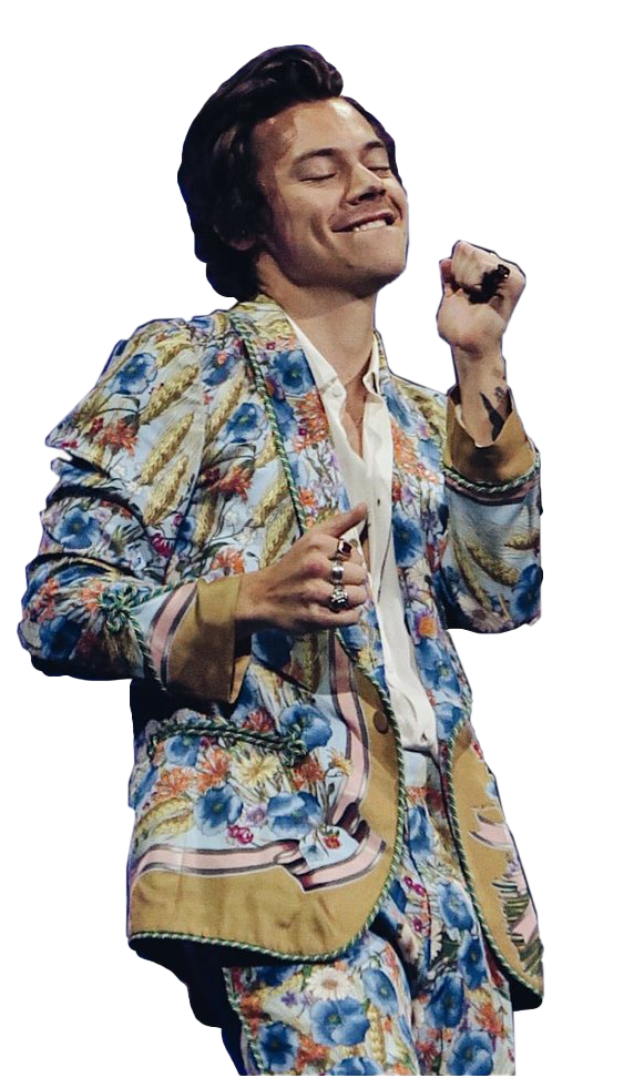 Harry Styles Png Picture