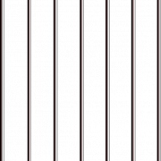 Gevangenis PNG -foto
