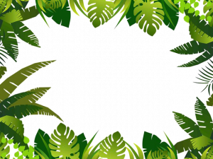 Leaf PNG High Quality Image