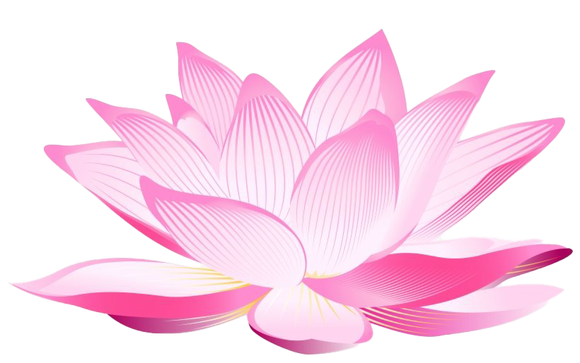 Lotus flor png clipart