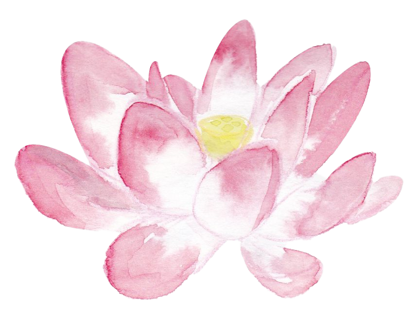 Lotus flor png