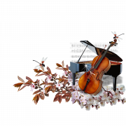 Fichier de violoncelle de violoncelle de musique
