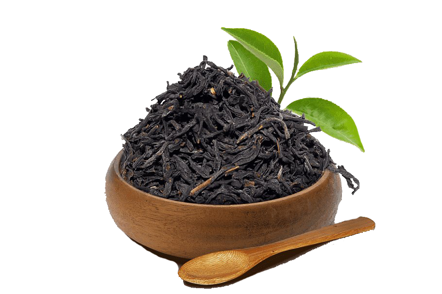 Nilgiri Oolong Tea Leaf PNG Download grátis