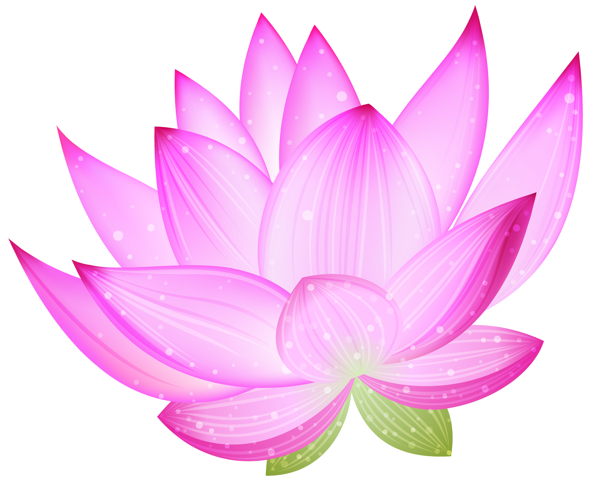 Clipart pink lotus png