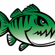 Gambar piranha fish png