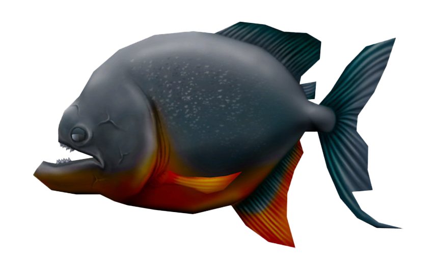 Piranha Fish Transparan