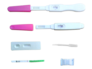 Pregnancy Test Kit PNG