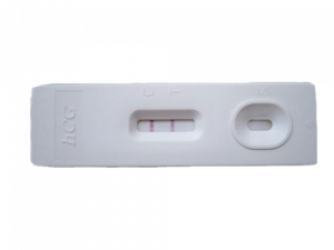 Pregnancy Test Kit PNG Clipart