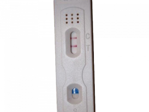 Pregnancy Test Kit PNG File