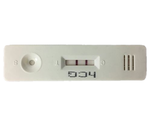 Pregnancy Test Kit Png Free Download Png All Png All